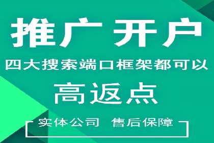 高效百度推广案例解析及优化策略